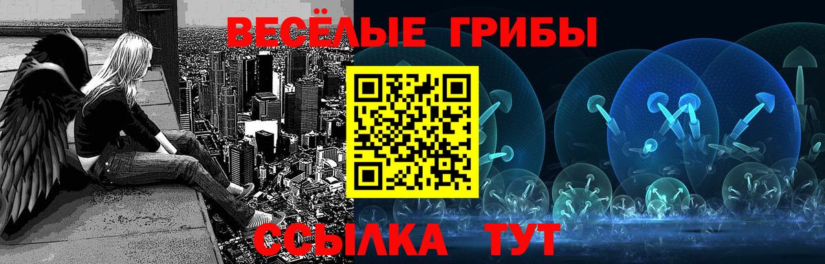 Галлюциногенные грибы Magic Shrooms  Вход с VPN  Элиста 